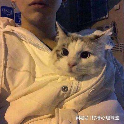 航海王燃烧意志网易云版本下载