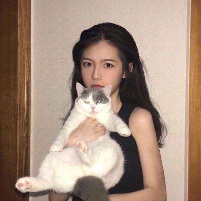 苍狼之刃游戏