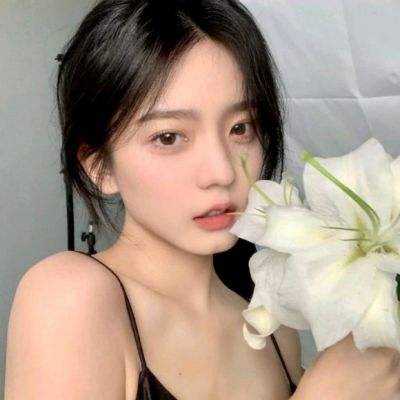 我的恐龙手游九游版下载